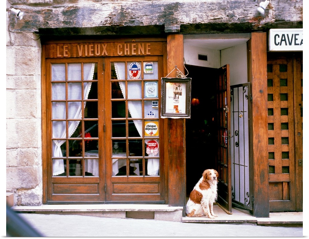 Huge photograph shows a dog sitting within the entrance of a restaurant in Europe.  The stone faoade of this building is c...