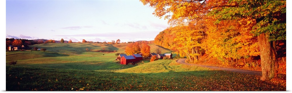 Fall Farm VT