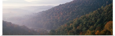 Fall Foliage & Hillsides Allegany Co Early Morning  MD