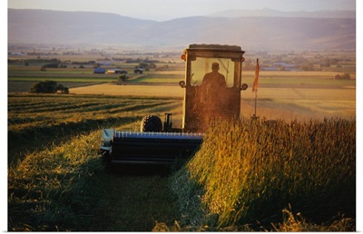 Farmer Harvesting Hay
