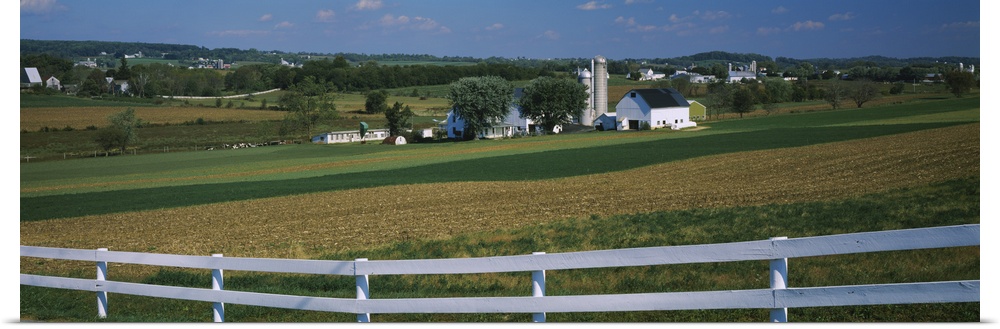 Farmhouse in a field, Amish Farms, Lancaster County, Pennsylvania