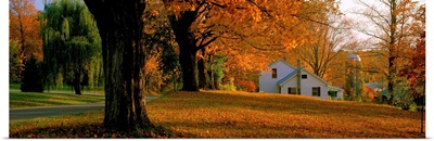Farmhouse with Autumn Trees near Burlington VT