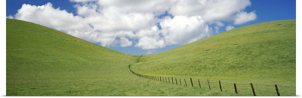 Fence in a field, Livermore Valley AVA, Alameda County, California,