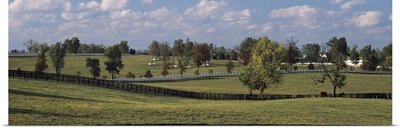 Fence in a pasture, Lexington, Fayette County, Kentucky