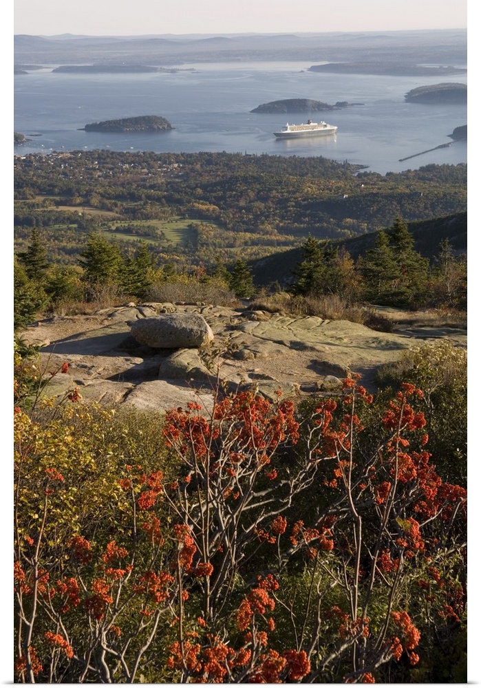 Ferry in the sea, Bar Harbor, Porcupine Island, Acadia National Park, Maine