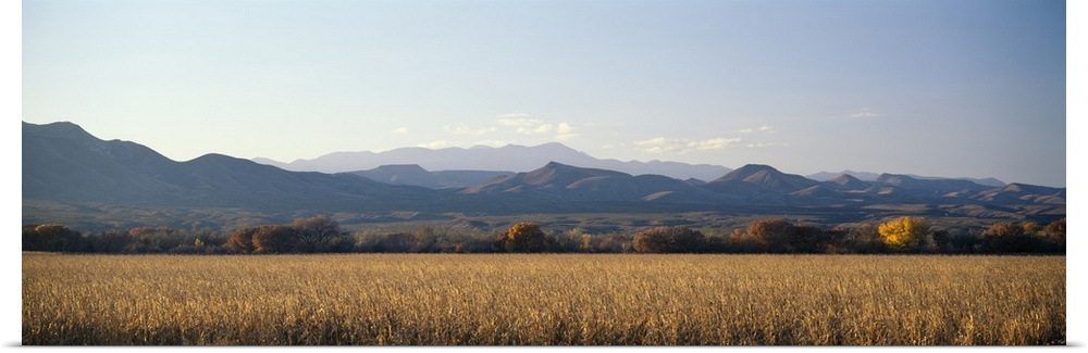 A panoramic landscape of mountains and fields in New Mexico's wildlife refuge Bosque del Apache.