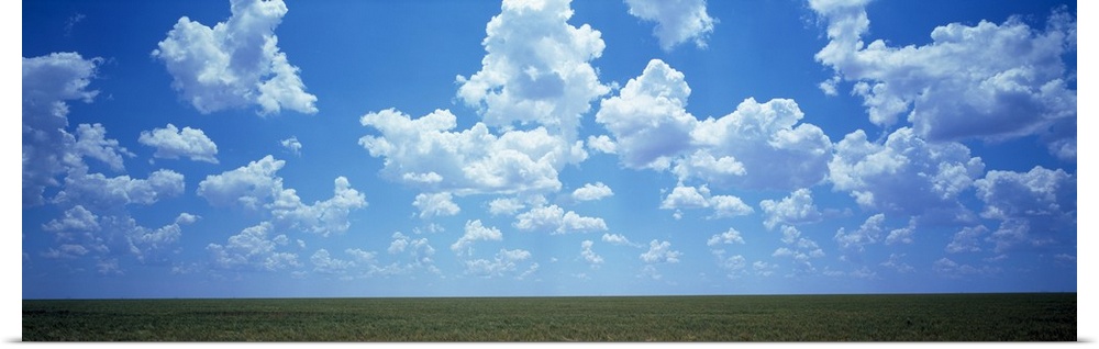 Field Clouds