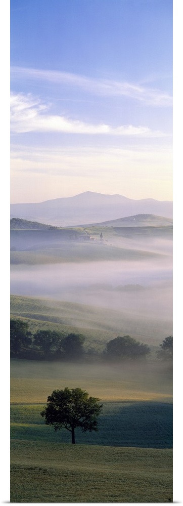 Oversized, vertical photograph of a foggy field of hills and trees, mountains in the background beneath a blue sky, in Tus...