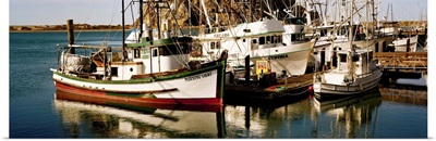Fishing boats in the sea, Morro Bay, San Luis Obispo County, California