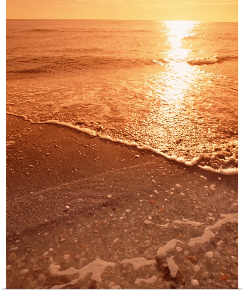Vertical photograph on a big canvas water rushing onto the shore of Sanibel Beach, Florida in the Gulf of Mexico.  The sun...