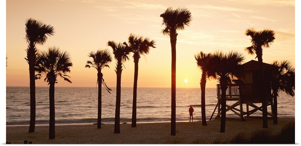 Panoramic photo of palm trees lining a beach with a man standing on the shore looking out into the sea at sunset.