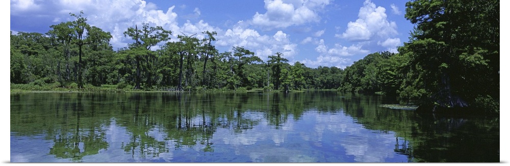 Florida, Wakulla Springs State Park, Reflection of trees and cloud in river