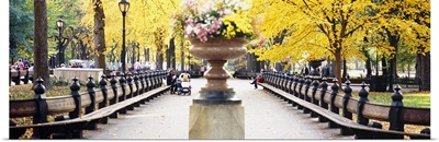 Flower pot on a walkway, Central Park, Manhattan, New York City, New York