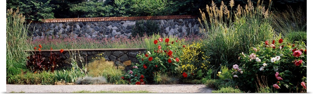 Flowering plants in a garden, Biltmore Estate, Asheville, North Carolina