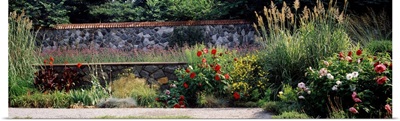 Flowering plants in a garden, Biltmore Estate, Asheville, North Carolina