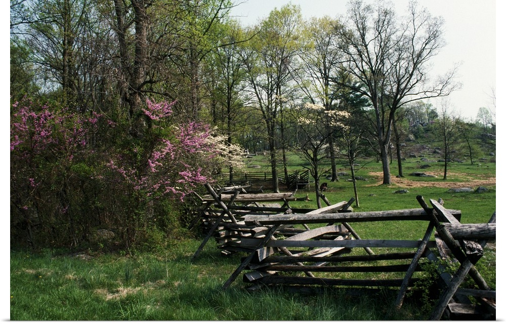 This home docor accent is a landscape photograph of a primitive fence passing through a meadow surrounded by young trees.