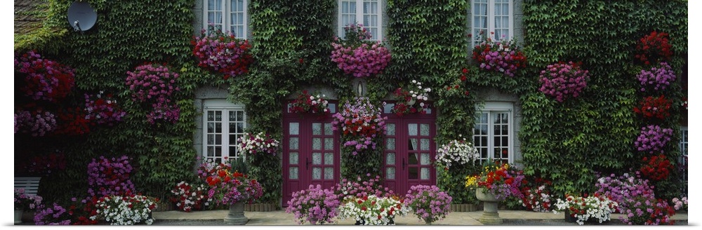 A French cottage garden home covered in flowers and greenery.