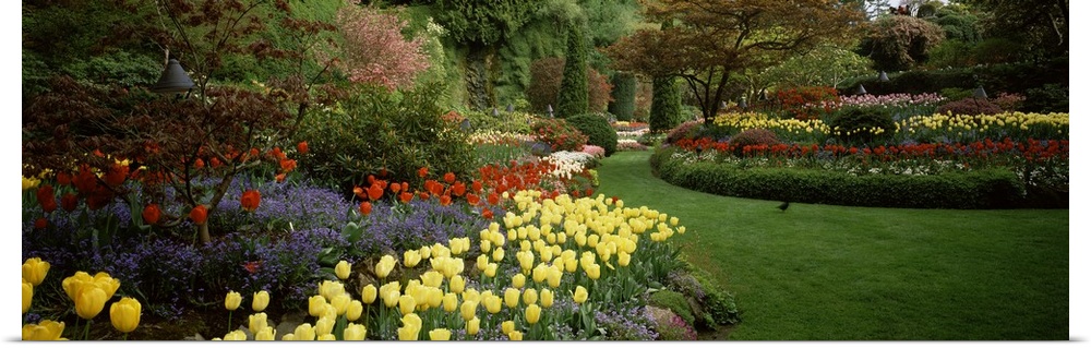 Flowers in a garden, Butchart Gardens, Brentwood Bay, Vancouver Island, British Columbia, Canada