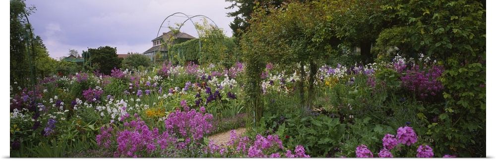 Panoramic picture taken of a thick garden that is filled with green foliage and purple and white flowers.