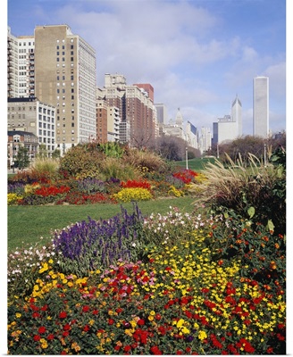 Flowers in a garden, Grant Park, Michigan Avenue, Chicago, Illinois