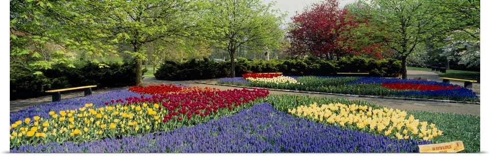 This panoramic picture was taken on a beautiful day of flower gardens inside a park.