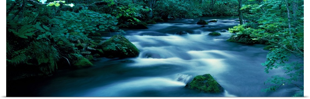 Flowing Stream Aomiri Japan