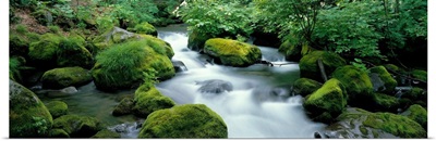 Flowing Stream (Oirase ) Aomiri Japan