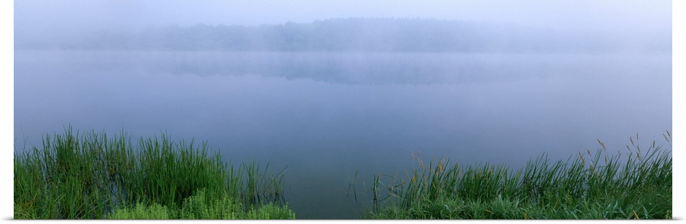 Fog over a lake, Herrington Manor State Park, Maryland
