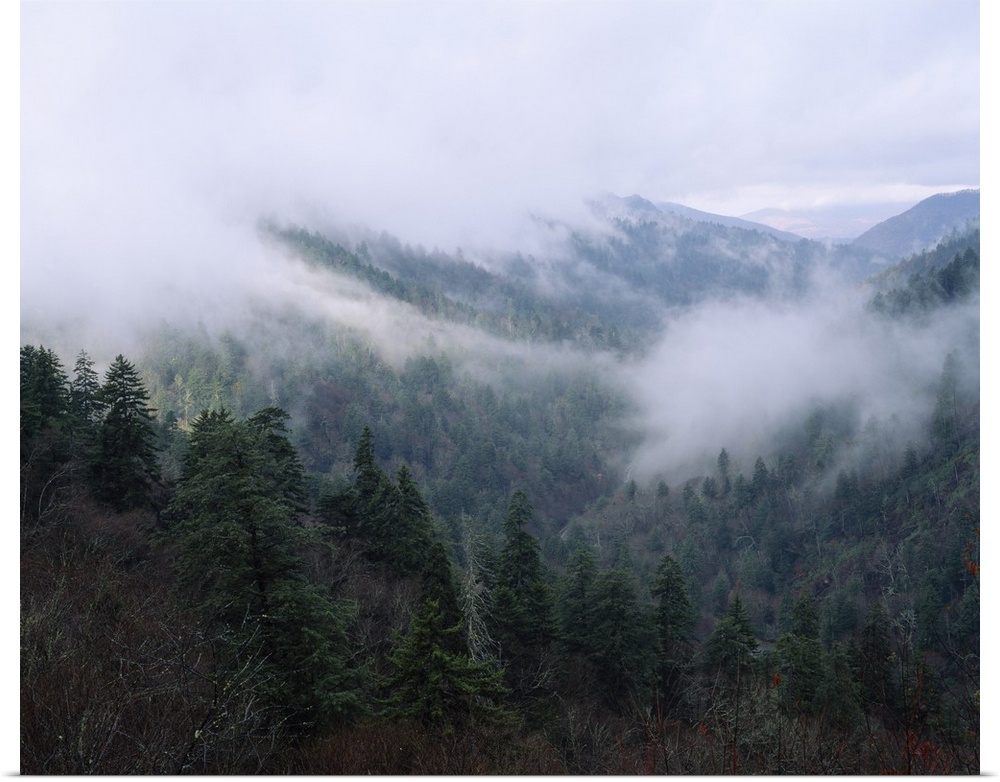 Fog over a mountain range, Cherokee, Swain County, North Carolina