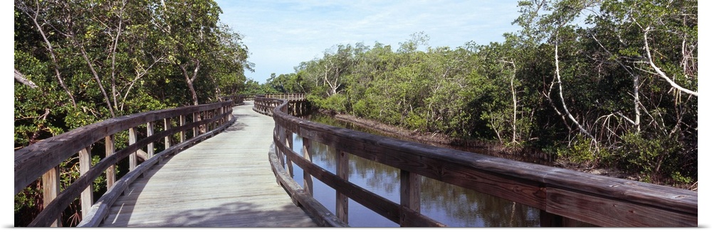 Footbridge across a lake Robinson Preserve Bradenton Manatee County Florida