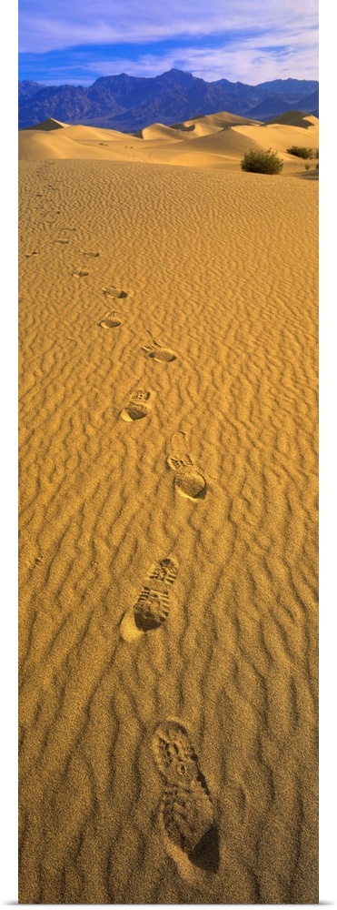 Footprints Death Valley National Park CA