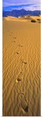 Footprints Death Valley National Park CA