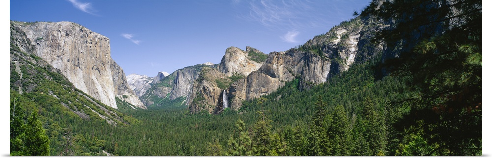 Forest in front of mountains, El Capitan, Bridal Veil Falls, Half Dome, Yosemite National Park, California