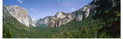 Forest in front of mountains, El Capitan, Bridal Veil Falls, Half Dome, Yosemite National Park, California
