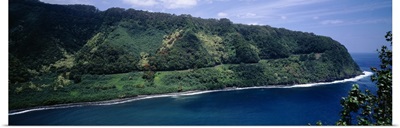 Forest on an island, Hana, Maui, Hawaii