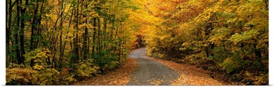 Forest Road near St. Hippolyte Laurentides Quebec Canada