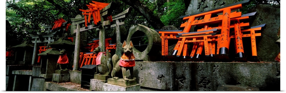 Fox statues with Torii gates at a shrine, Fushimi Inari-Taisha, Fushimi Ward, Kyoto, Kyoto Prefecture, Kinki Region, Honsh...