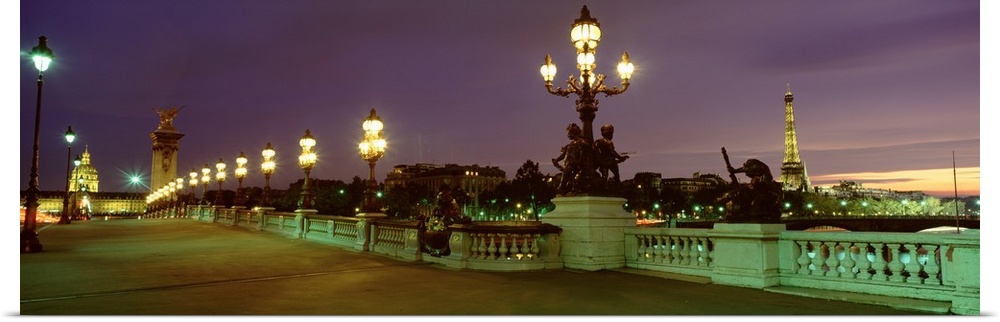 France, Paris, Alexandre III Bridge