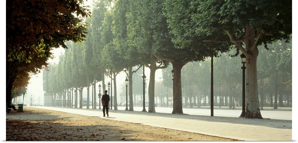 Panoramic image of a man walking through a park in Paris with trees lined along the pathway.