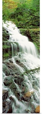 Ganoga Falls Ricketts Glenn State Park PA