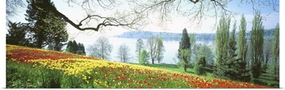 Garden Island of Mainau Lake Constance Germany