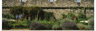 Garden near a stone wall, Oxford, England