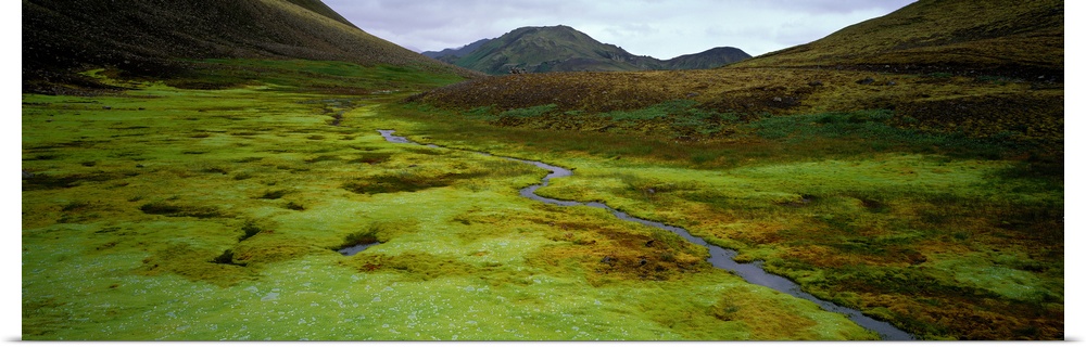 Geyser heated stream with algae beds Volcanic ash hills Iceland