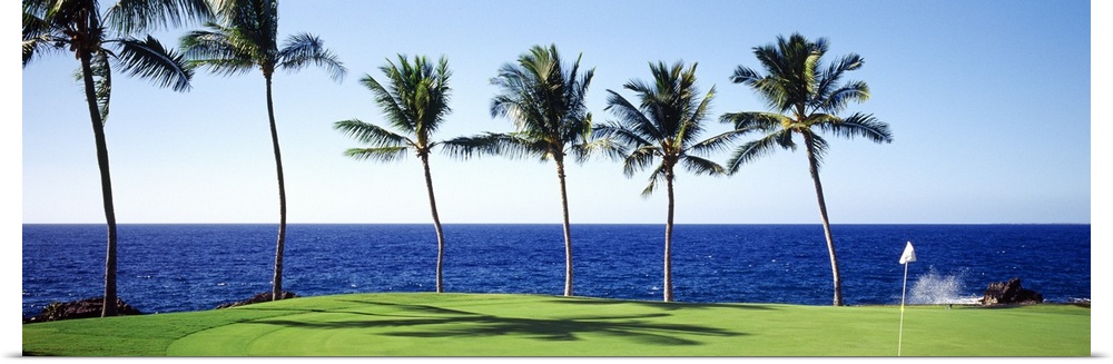 A panoramic view of the green on a Hawaiian golf course with palm trees lining the edge and a view of the ocean.