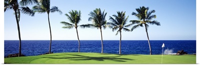 Golf Course Big Island HI