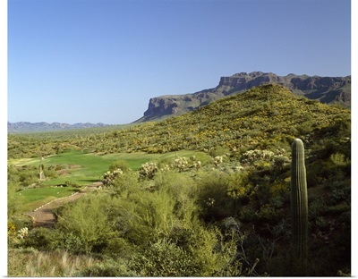 Golf course, Gold Camp, Pinal County, Arizona