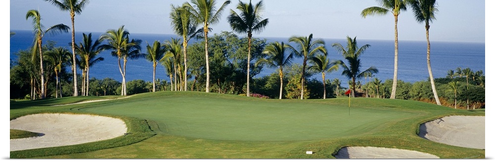 A panormic photograph of a golf course overlooking the ocean with palm trees lining the putting green.