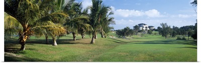 Golf Course Varadero Cuba