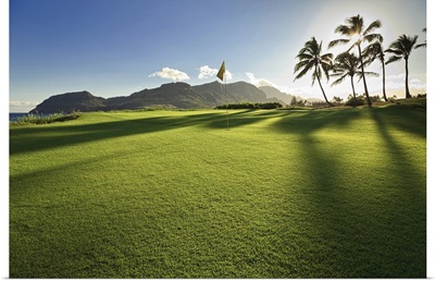 Golf flag in a golf course, Kauai Lagoons, Kauai, Hawaii