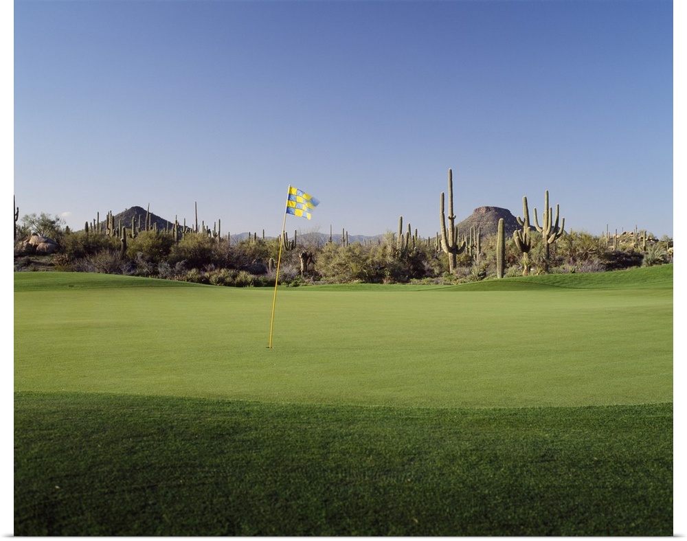 Golf flag in a golf course, Troon North Golf Club, Scottsdale, Maricopa County, Arizona
